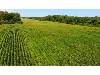 Property photo 18 - LAND AUCTION - 75.2+/- ACRES OFFERED IN 7 TRACTS IN ST. JOSEPH CO., INDIANA